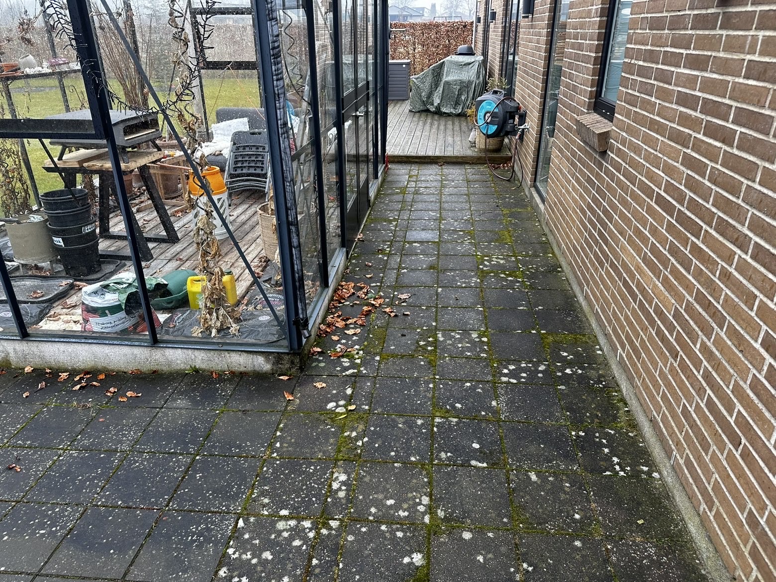 Before image