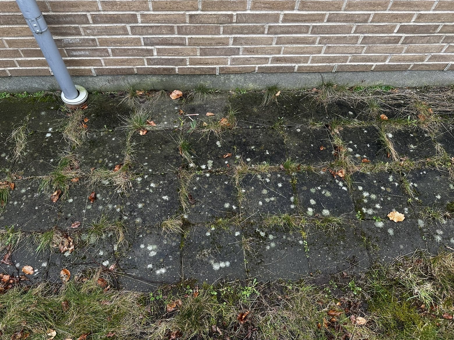 Before image