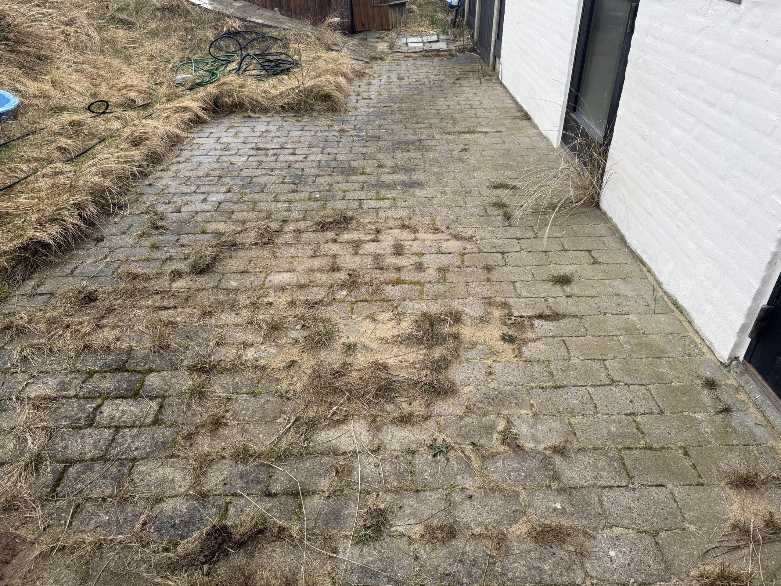 Before image