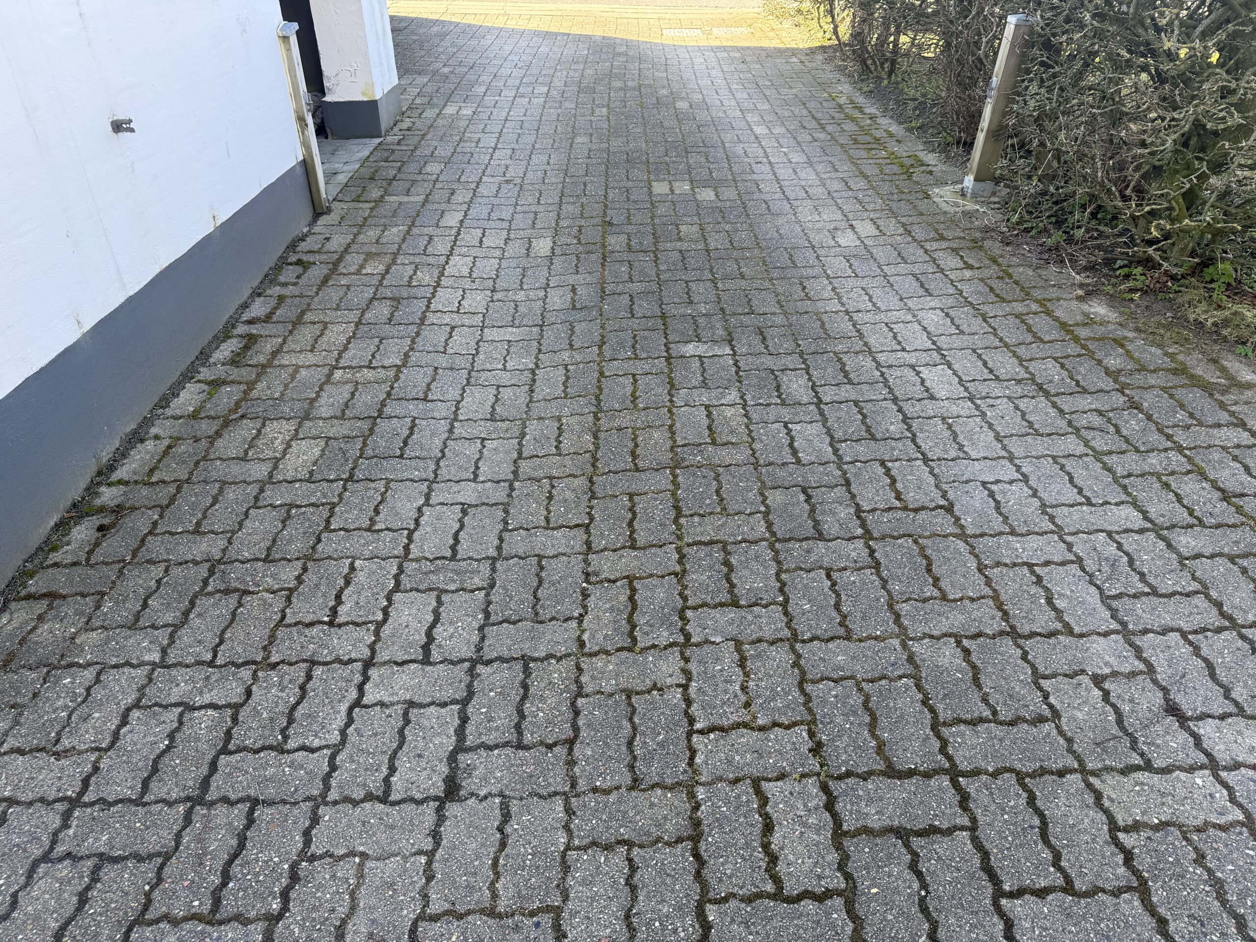 Before image